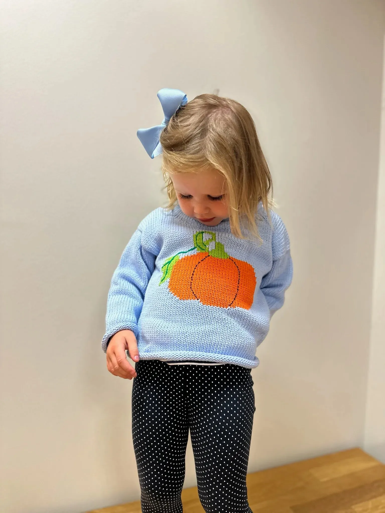 Blue Pumpkin Roll Neck Sweater